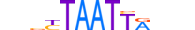 ALX4.H13CORE.1.SM.B motif logo (ALX4 gene, ALX4_HUMAN protein)