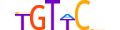 ANDR.H13CORE.1.S.C motif logo (AR gene, ANDR_HUMAN protein)