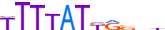 ARI1A.H13CORE.0.P.C motif logo (ARID1A gene, ARI1A_HUMAN protein)