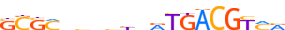 ATF1.H13CORE.1.P.B motif logo (ATF1 gene, ATF1_HUMAN protein)