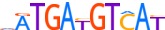 ATF2.H13CORE.1.P.B motif logo (ATF2 gene, ATF2_HUMAN protein)