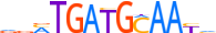 ATF4.H13CORE.0.P.B motif logo (ATF4 gene, ATF4_HUMAN protein)