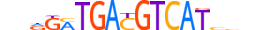 ATF4.H13CORE.2.SM.B motif logo (ATF4 gene, ATF4_HUMAN protein)