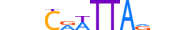 BARH2.H13CORE.0.SM.B motif logo (BARHL2 gene, BARH2_HUMAN protein)