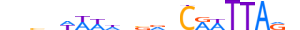 BARH2.H13CORE.1.S.B motif logo (BARHL2 gene, BARH2_HUMAN protein)