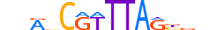 BARH2.H13CORE.2.S.C motif logo (BARHL2 gene, BARH2_HUMAN protein)