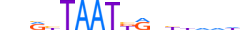 BARX1.H13CORE.1.S.B motif logo (BARX1 gene, BARX1_HUMAN protein)