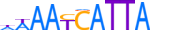 BARX2.H13CORE.0.SM.B motif logo (BARX2 gene, BARX2_HUMAN protein)