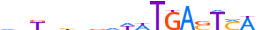 BATF3.H13CORE.0.P.B motif logo (BATF3 gene, BATF3_HUMAN protein)