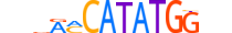 BHA15.H13CORE.1.SM.B motif logo (BHLHA15 gene, BHA15_HUMAN protein)