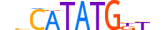 BHE22.H13CORE.0.SM.B motif logo (BHLHE22 gene, BHE22_HUMAN protein)