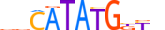 BHE23.H13CORE.0.SM.B motif logo (BHLHE23 gene, BHE23_HUMAN protein)