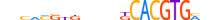 BHE40.H13CORE.1.S.C motif logo (BHLHE40 gene, BHE40_HUMAN protein)