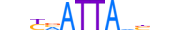 BSH.H13CORE.0.SM.B motif logo (BSX gene, BSH_HUMAN protein)