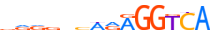 COT2.H13CORE.0.P.B motif logo (NR2F2 gene, COT2_HUMAN protein)