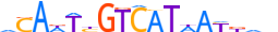 DACH1.H13CORE.0.S.B motif logo (DACH1 gene, DACH1_HUMAN protein)