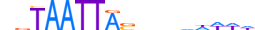 DLX1.H13CORE.0.S.B motif logo (DLX1 gene, DLX1_HUMAN protein)