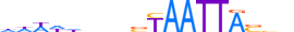 DLX3.H13CORE.1.S.B motif logo (DLX3 gene, DLX3_HUMAN protein)