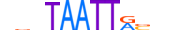 DLX5.H13CORE.0.PSM.A motif logo (DLX5 gene, DLX5_HUMAN protein)