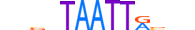 DLX6.H13CORE.0.SM.B motif logo (DLX6 gene, DLX6_HUMAN protein)