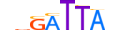 DMBX1.H13CORE.0.SM.B motif logo (DMBX1 gene, DMBX1_HUMAN protein)