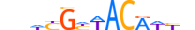 DMRT1.H13CORE.1.M.C motif logo (DMRT1 gene, DMRT1_HUMAN protein)