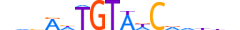 DMTA2.H13CORE.0.SM.B motif logo (DMRTA2 gene, DMTA2_HUMAN protein)