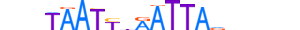 DRGX.H13CORE.0.S.B motif logo (DRGX gene, DRGX_HUMAN protein)