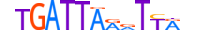 DUXA.H13CORE.0.SM.B motif logo (DUXA gene, DUXA_HUMAN protein)