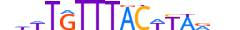 FOXA1.H13CORE.1.S.C motif logo (FOXA1 gene, FOXA1_HUMAN protein)