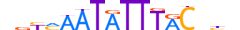 FOXA2.H13CORE.1.SM.B motif logo (FOXA2 gene, FOXA2_HUMAN protein)