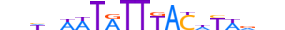 FOXC1.H13CORE.0.S.B motif logo (FOXC1 gene, FOXC1_HUMAN protein)