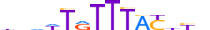 FOXC1.H13CORE.1.S.C motif logo (FOXC1 gene, FOXC1_HUMAN protein)