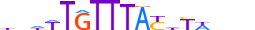 FOXC2.H13CORE.0.SM.B motif logo (FOXC2 gene, FOXC2_HUMAN protein)