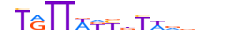 FOXD2.H13CORE.1.SM.B motif logo (FOXD2 gene, FOXD2_HUMAN protein)