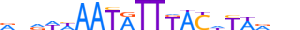 FOXD3.H13CORE.1.S.B motif logo (FOXD3 gene, FOXD3_HUMAN protein)