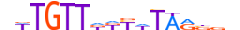 FOXE1.H13CORE.0.SM.B motif logo (FOXE1 gene, FOXE1_HUMAN protein)