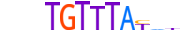 FOXF1.H13CORE.0.P.C motif logo (FOXF1 gene, FOXF1_HUMAN protein)