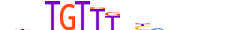 FOXG1.H13CORE.0.PSM.A motif logo (FOXG1 gene, FOXG1_HUMAN protein)