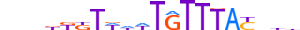 FOXJ2.H13CORE.2.S.B motif logo (FOXJ2 gene, FOXJ2_HUMAN protein)