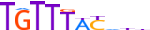 FOXK1.H13CORE.0.PS.A motif logo (FOXK1 gene, FOXK1_HUMAN protein)