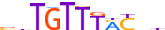 FOXK2.H13CORE.0.P.B motif logo (FOXK2 gene, FOXK2_HUMAN protein)