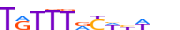 FOXM1.H13CORE.0.P.B motif logo (FOXM1 gene, FOXM1_HUMAN protein)