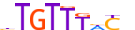 FOXO1.H13CORE.0.PS.A motif logo (FOXO1 gene, FOXO1_HUMAN protein)