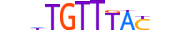 FOXO6.H13CORE.0.S.B motif logo (FOXO6 gene, FOXO6_HUMAN protein)