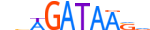 GATA1.H13CORE.1.PSM.A motif logo (GATA1 gene, GATA1_HUMAN protein)