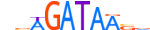 GATA2.H13CORE.0.PSM.A motif logo (GATA2 gene, GATA2_HUMAN protein)