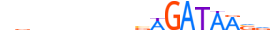 GATA2.H13CORE.1.P.B motif logo (GATA2 gene, GATA2_HUMAN protein)