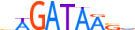 GATA4.H13CORE.0.PSM.A motif logo (GATA4 gene, GATA4_HUMAN protein)