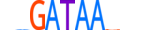 GATA5.H13CORE.0.SM.B motif logo (GATA5 gene, GATA5_HUMAN protein)